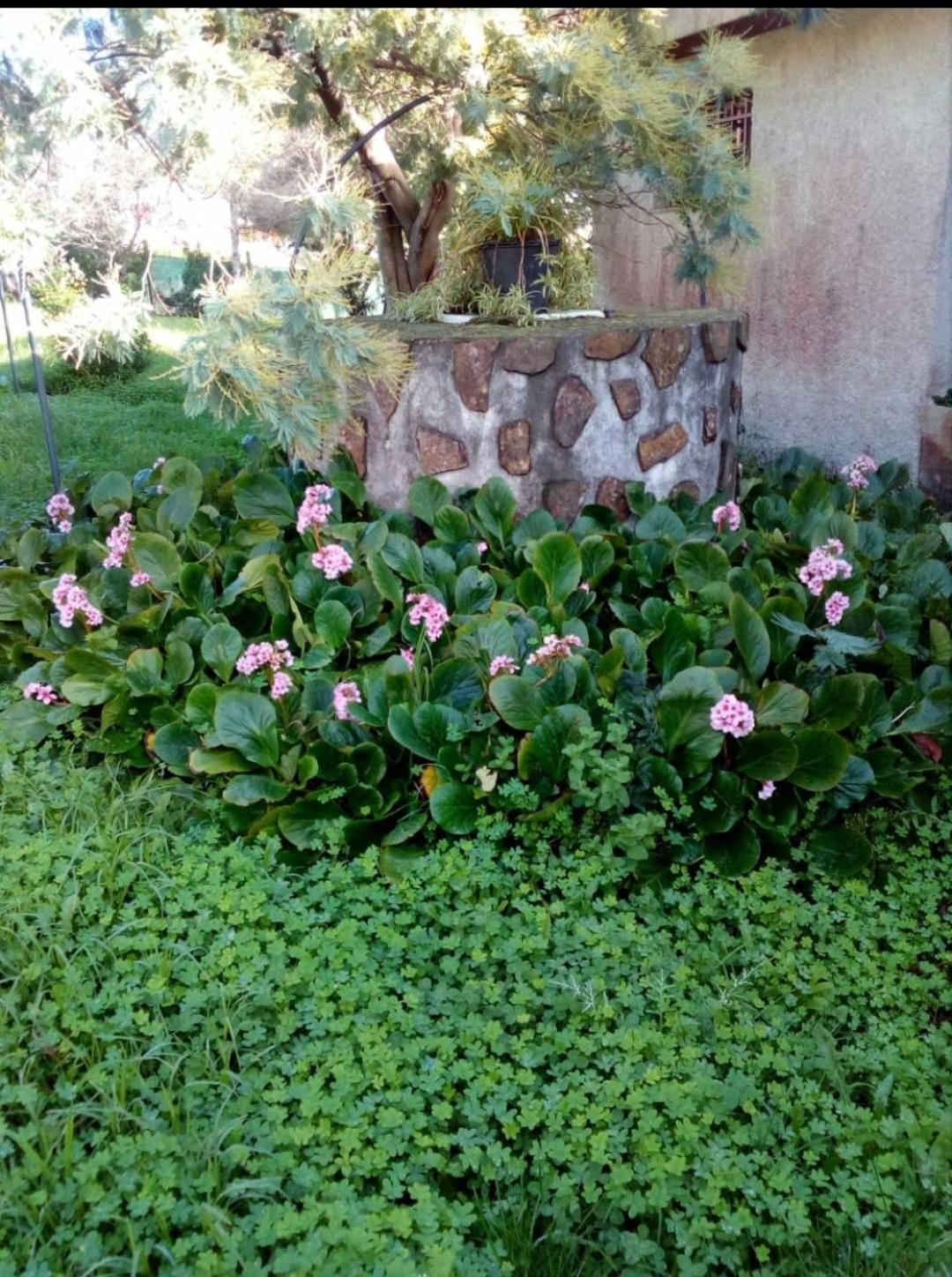 הוילה א גוארדה Casa Tina מראה חיצוני תמונה
