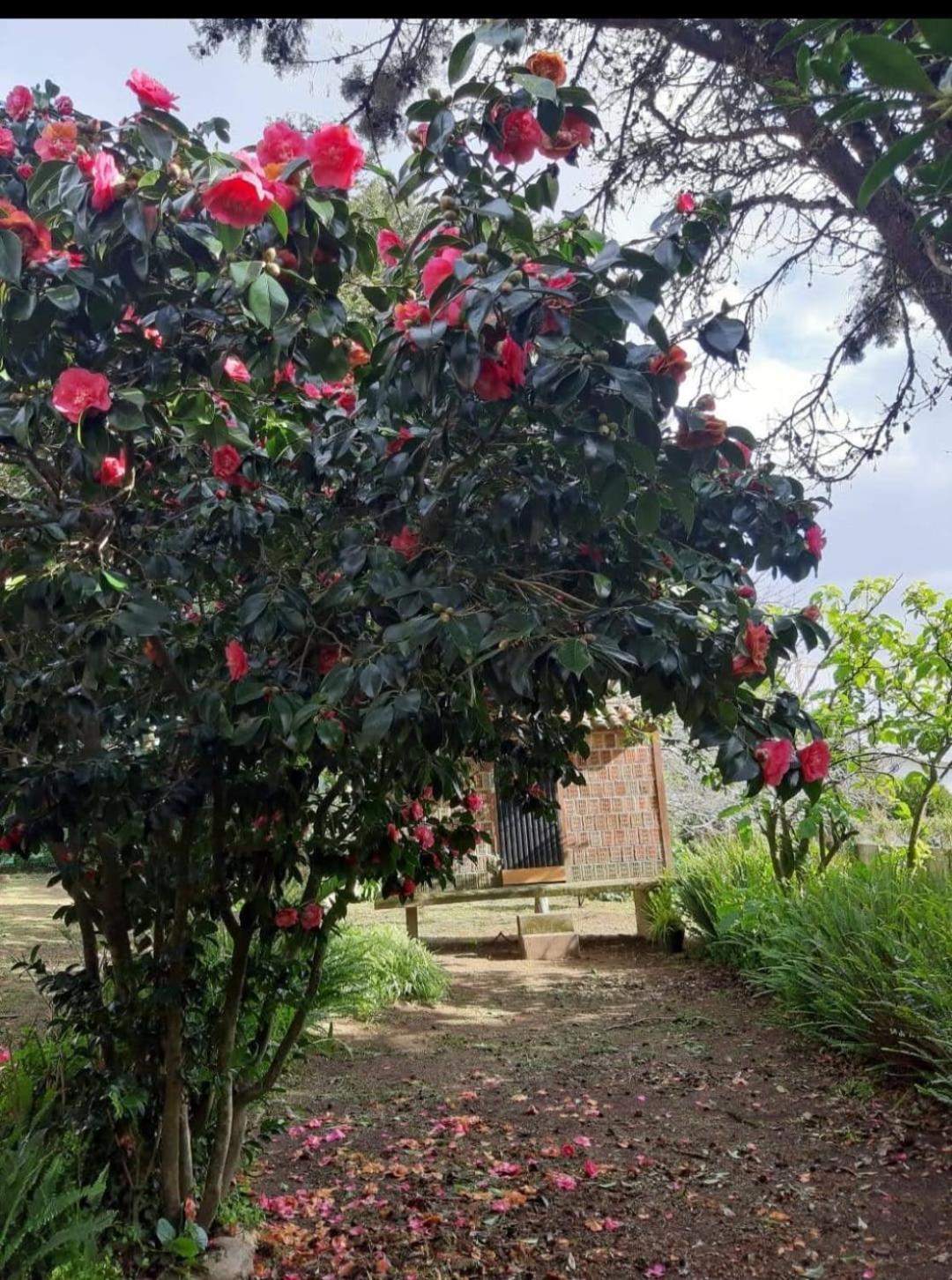 הוילה א גוארדה Casa Tina מראה חיצוני תמונה